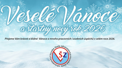VESELÉ VÁNOCE A ŠŤASTNÝ NOVÝ ROK