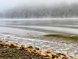 543378360_1251812220290386_6468888655108844570_n